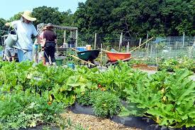 sustainable gardening middlesex county