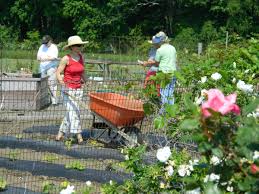gardeners of middlesex county nj