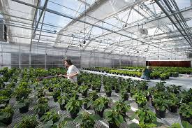 study horticulture online