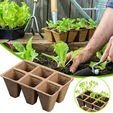 biodegradable seedling pots