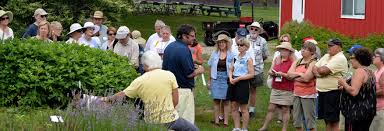 ct master gardener