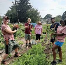 gardener volunteer