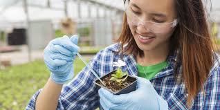 horticulture certificate program near me