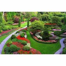 horticulture landscape design