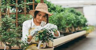 gardening courses for beginners