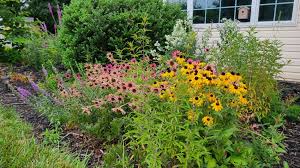 native garden landscaping