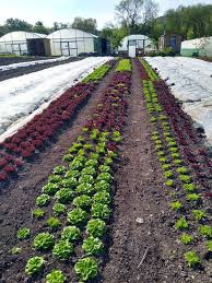 organic gardening courses