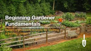 beginner gardening course