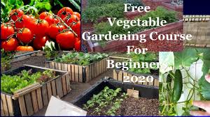 online gardening courses for beginners