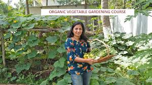 online vegetable gardening classes