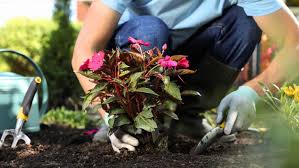 friendly gardening