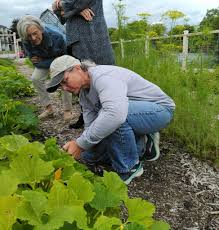 gardener volunteers