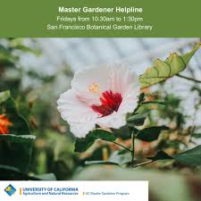 gardeners helpline