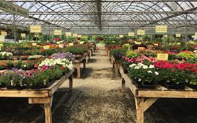 plant nursery