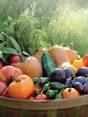 burpee gardening