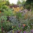 landscape & design