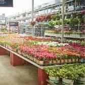 garden store