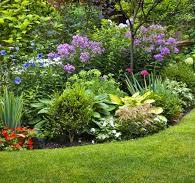 landscape and design
