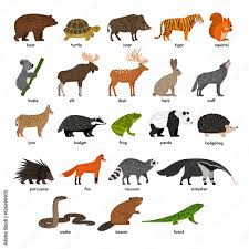 wild animals