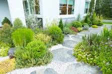 front lawn landscape