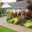front yard landscaping