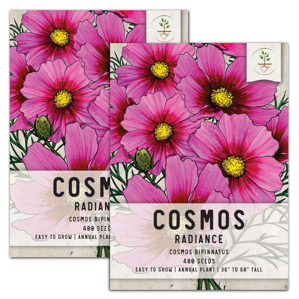 cosmos flower seeds
