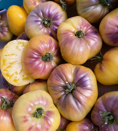 heirloom tomato seeds