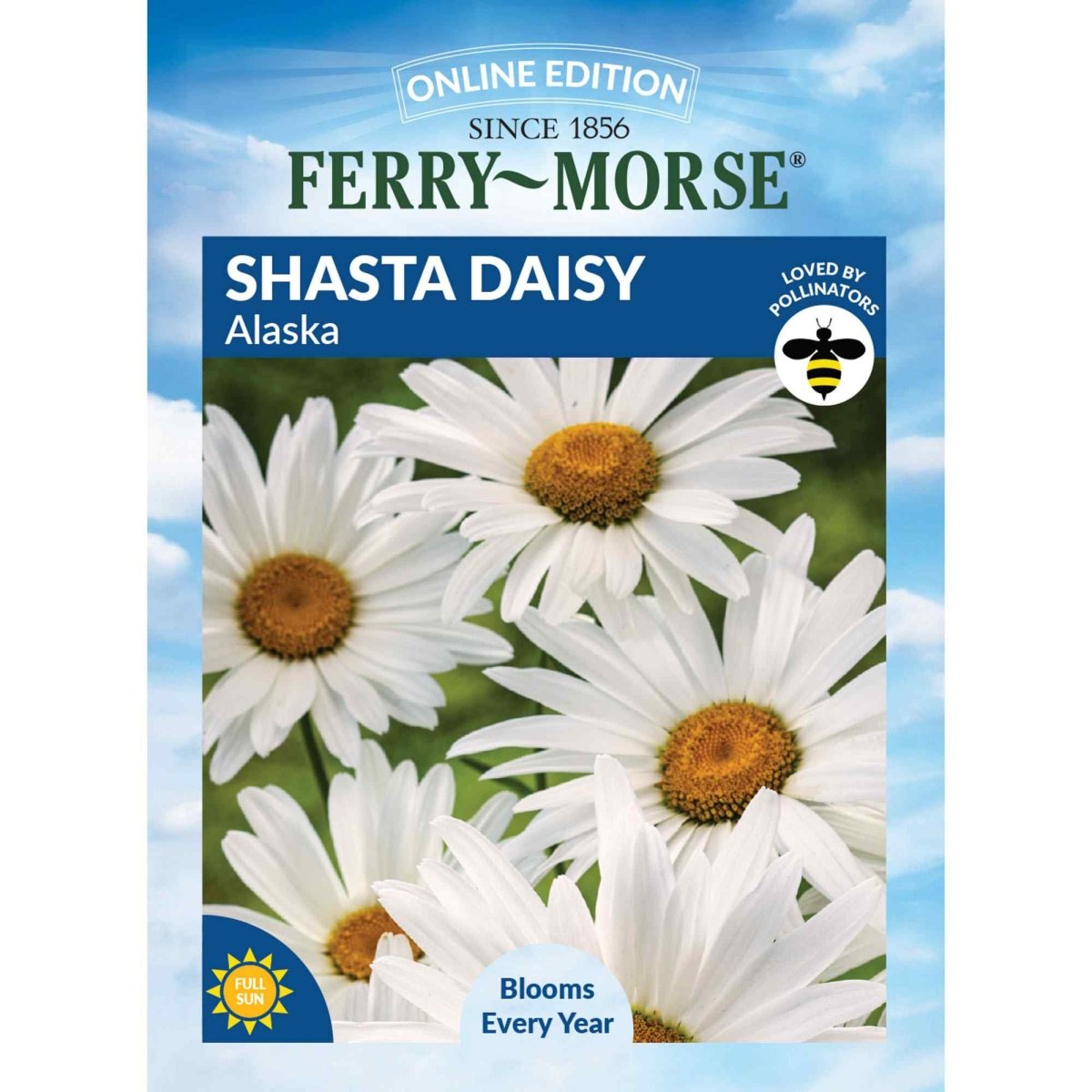 shasta daisy seeds