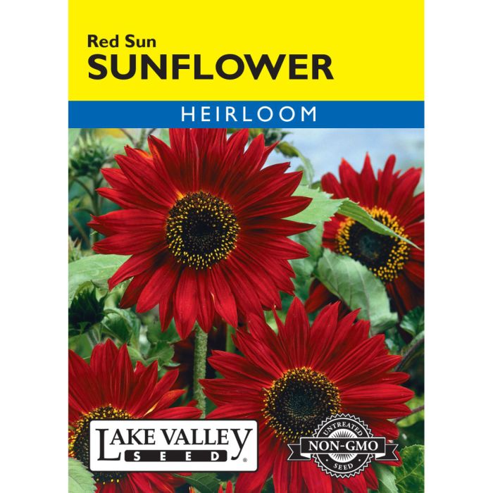 sunflower seeds to grow