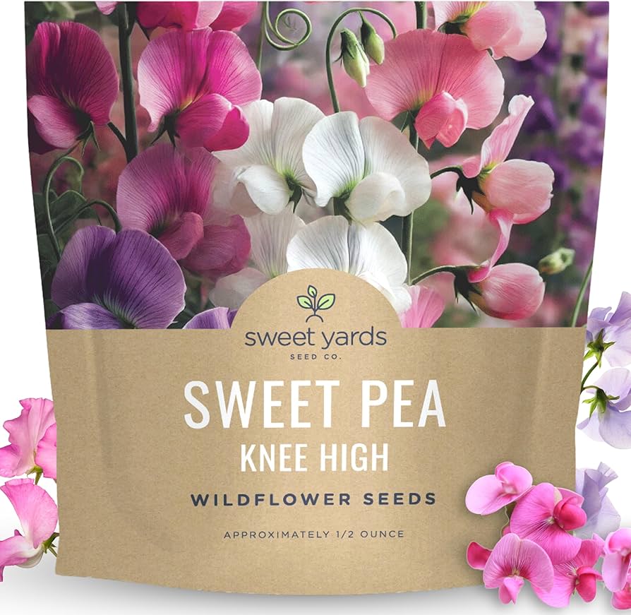 sweet pea seeds