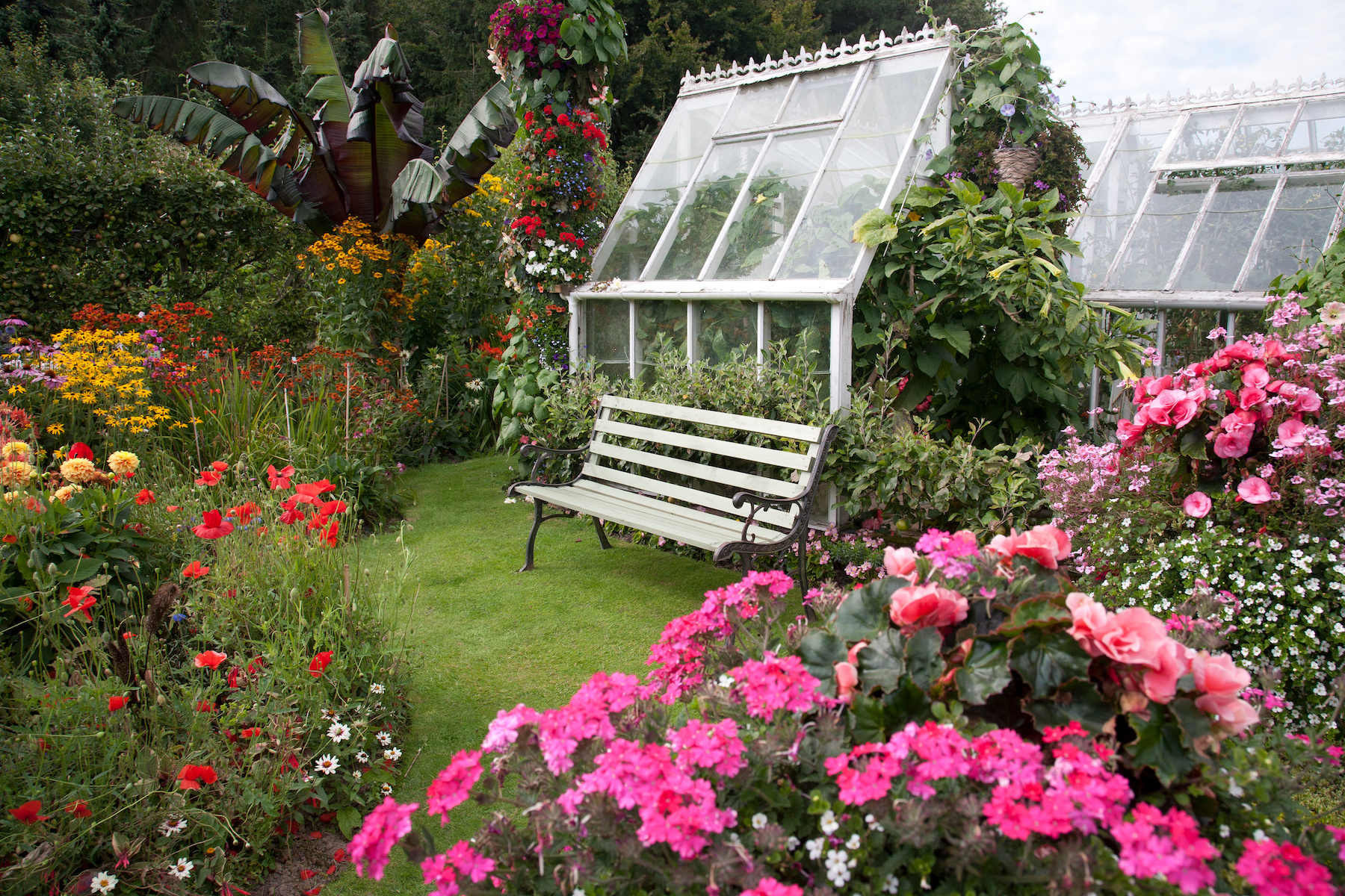flower garden design