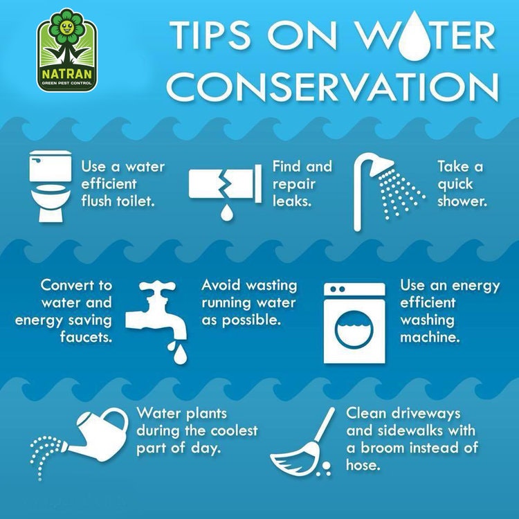conserving water