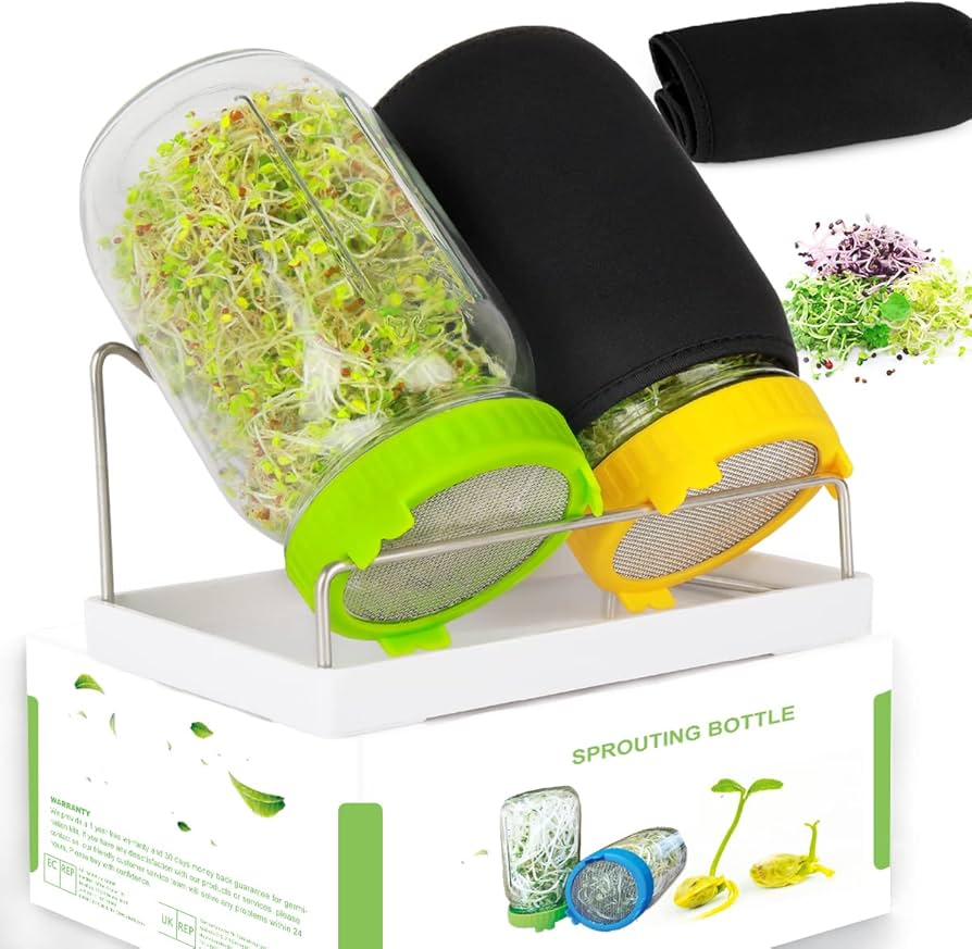 sprouting seed