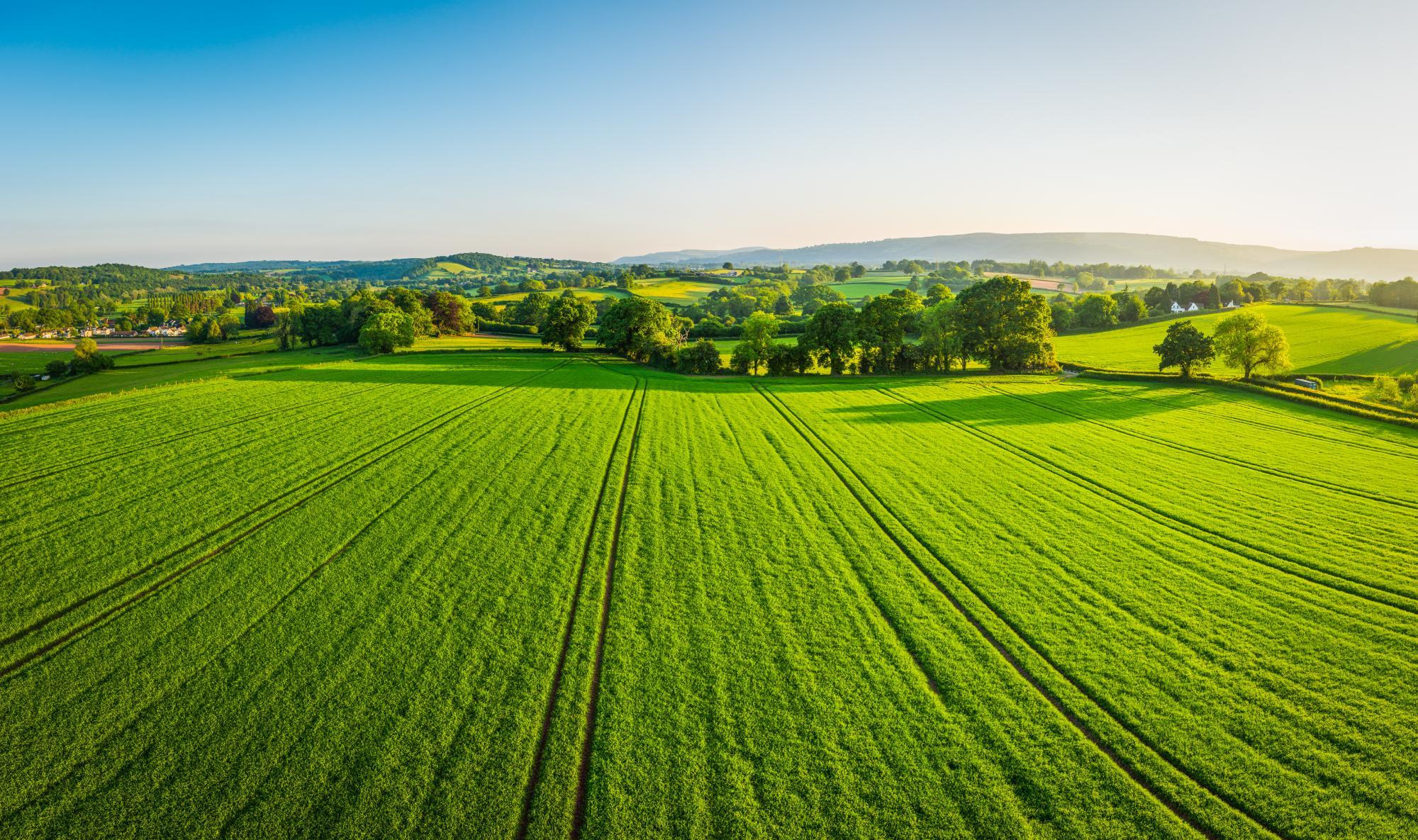 organic farming