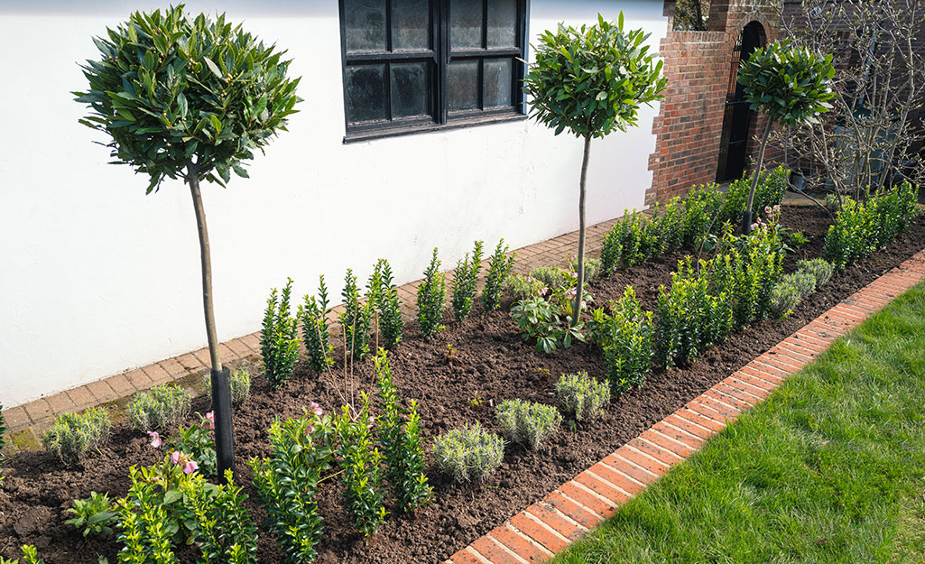borders for landscaping