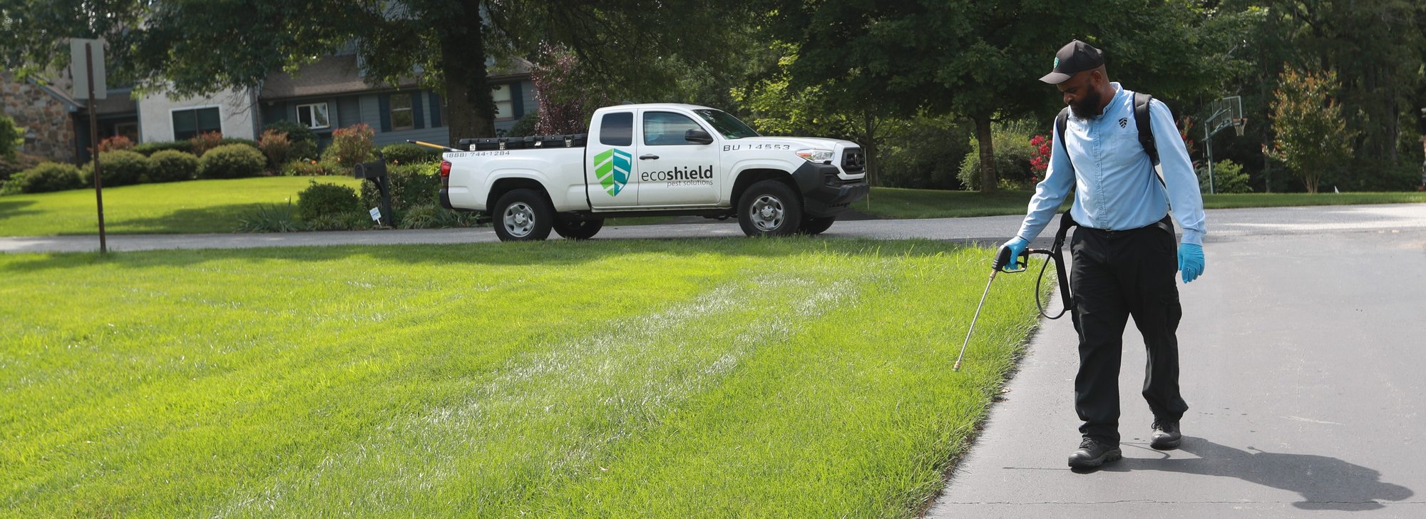 ecoshield pest solutions