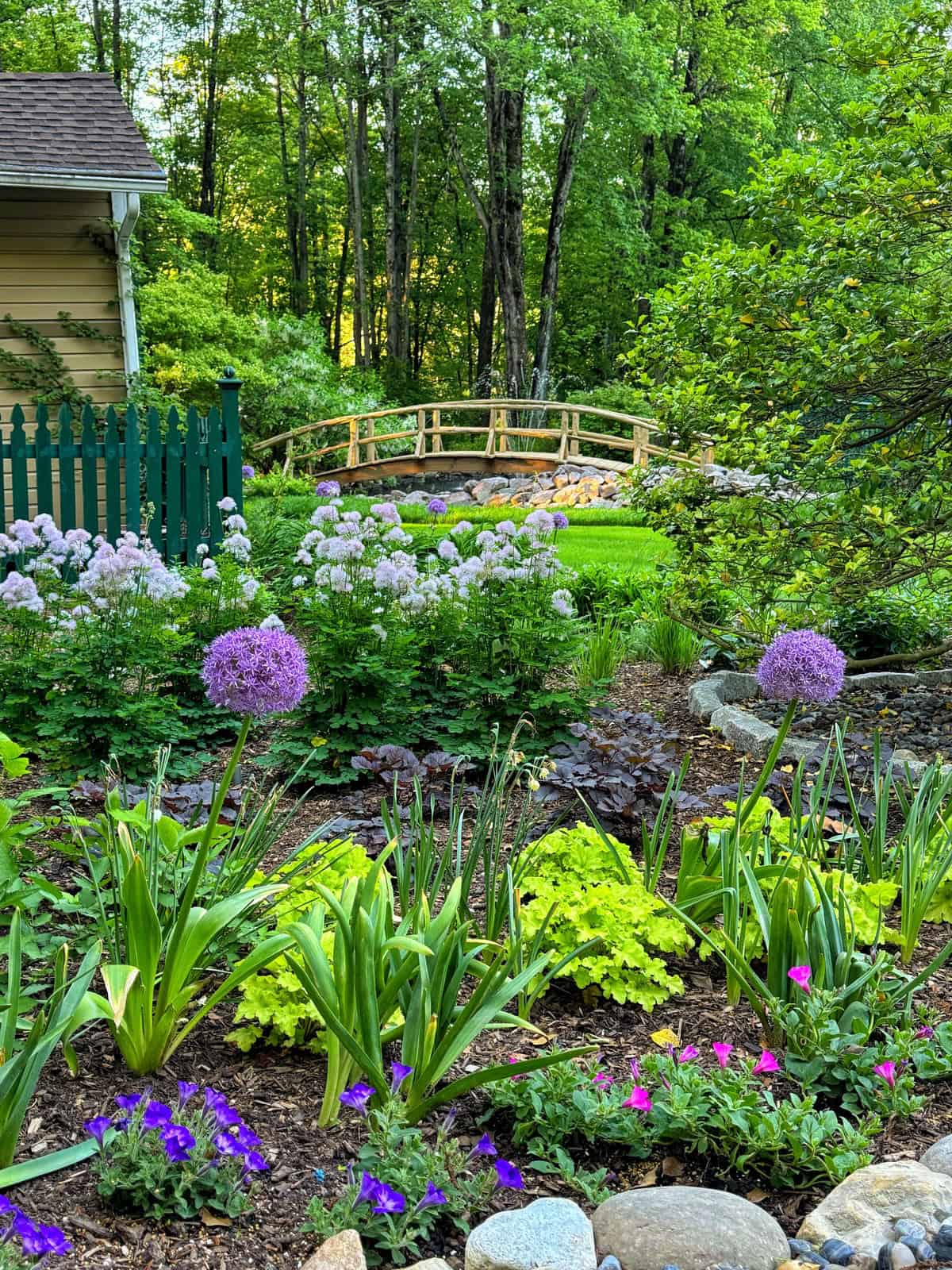 new gardening